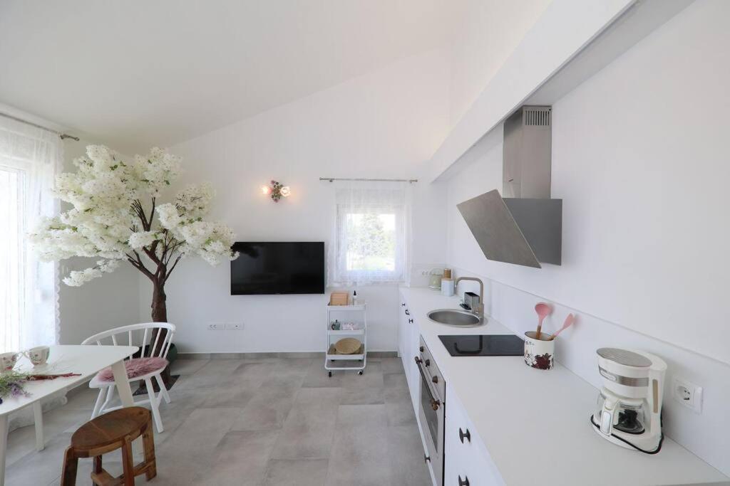 Fiorino Appartement Zadar